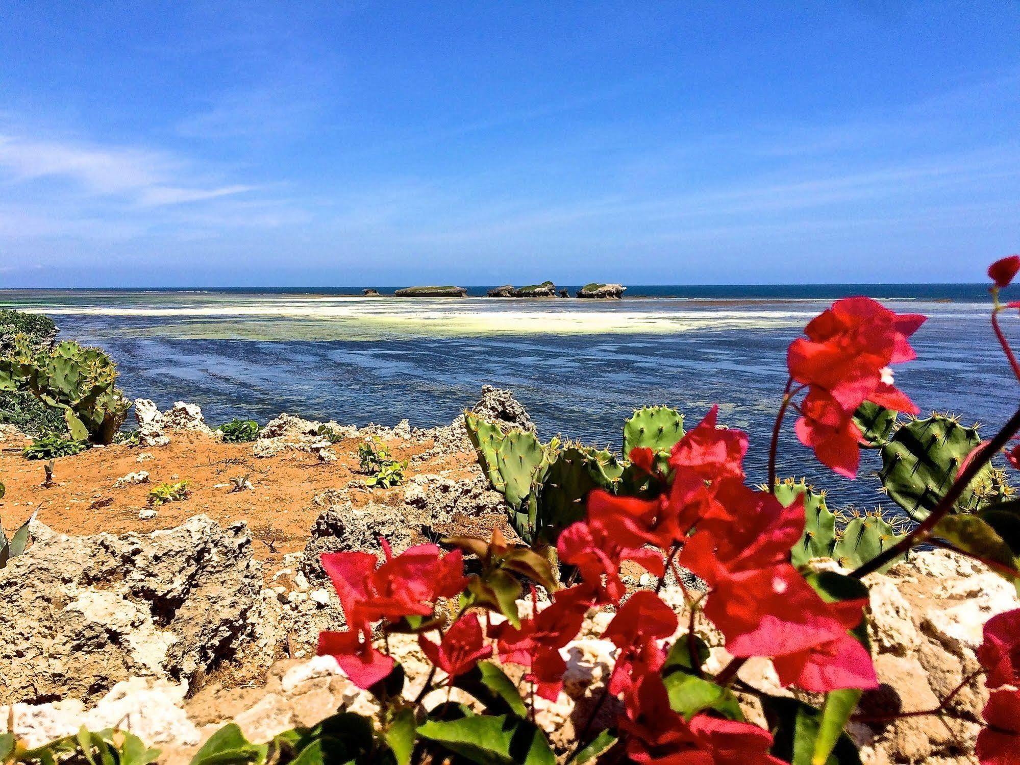 Mawe Resort Watamu Boutique Hotel ภายนอก รูปภาพ